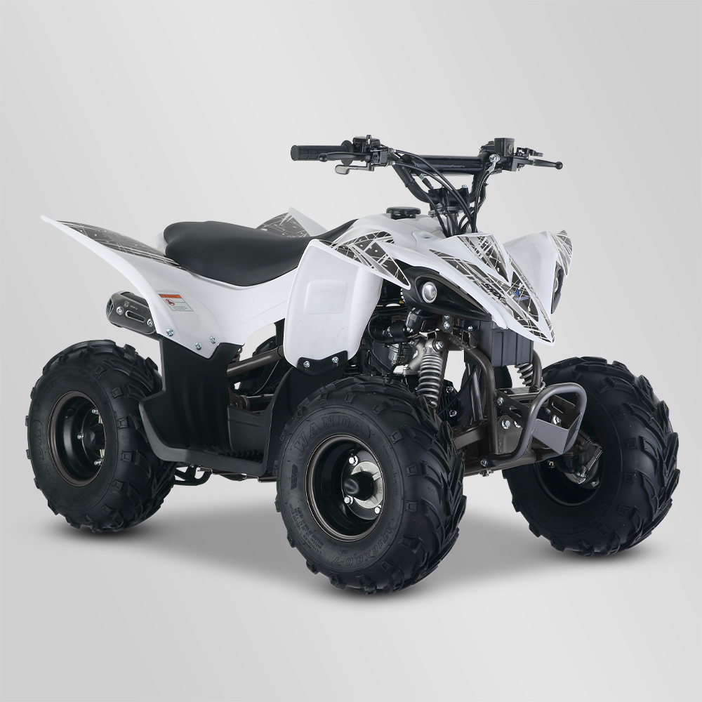Quad tout-terrain Smx Vtx 110cc : Sécurité et robustesse pour les enfants |  Smallmx - Dirt bike, Pit bike, Quads, Minimoto