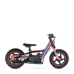 RXF 12" (24V100W)