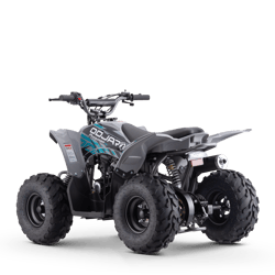 quad-odjar-predator-110-46224-203078