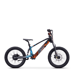 EVO 20" (36V750W)