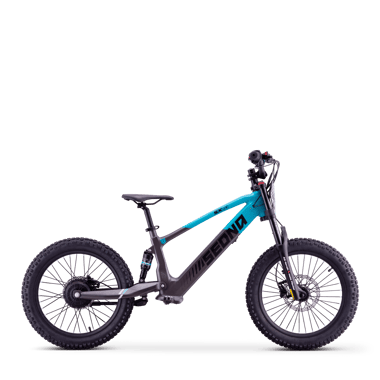 draisienne-electrique-sedna-sx-20-bleu-41920-204559