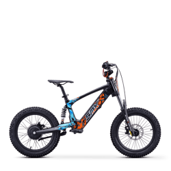 EVO 18" (36V500W)