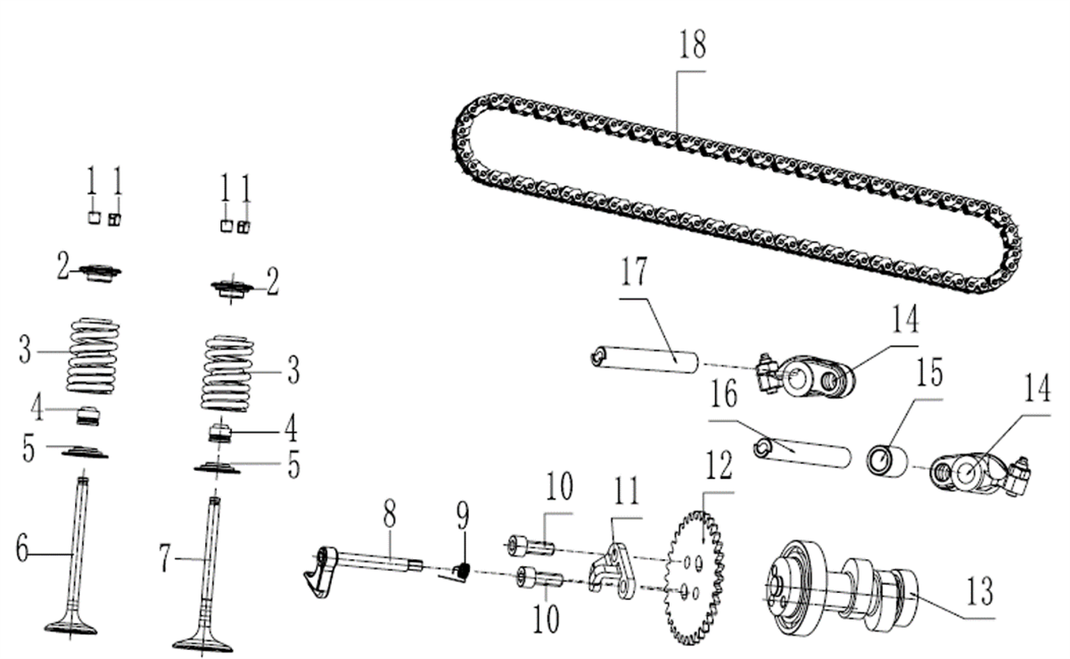 DISTRIBUTION