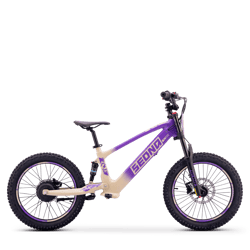 draisienne-electrique-sedna-sx-20-violet-54647-216815