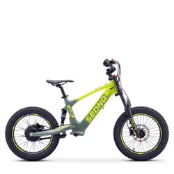 draisienne-electrique-sedna-sx-18-vert-54642-216735