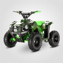 kit-deco-monster-quad-kingkong-vert