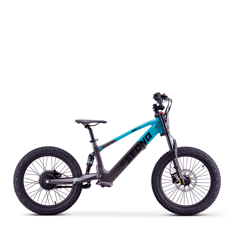 SX 20" (36V750W)