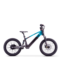 SX 20" (36V750W)