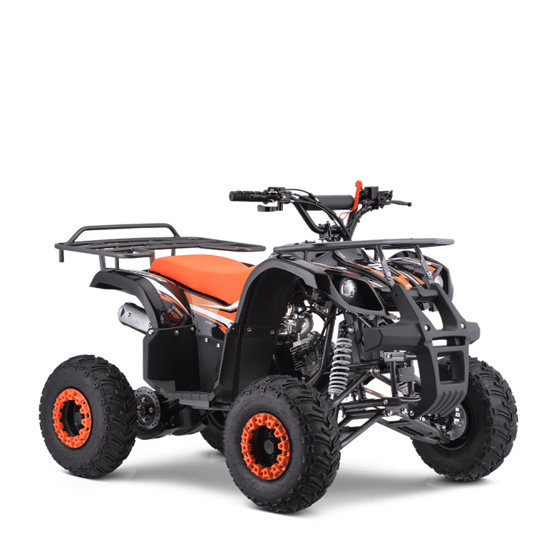 TIGER 125CC (2018-2024)