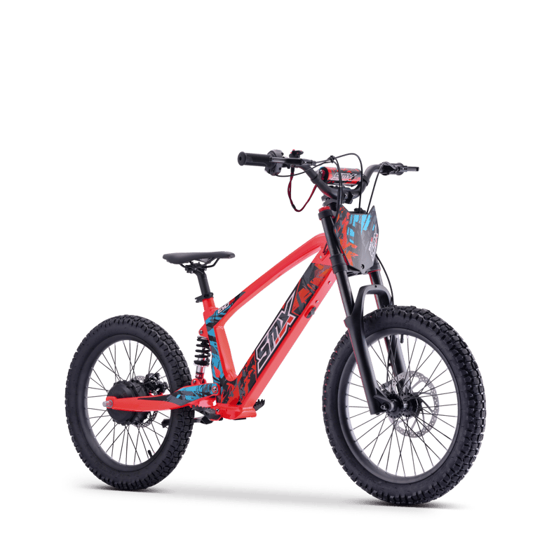 Meilleures ventes draisienne électrique 50 km/h 2025