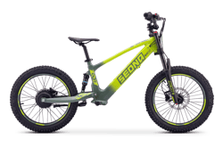 draisienne-electrique-sedna-sx-20-vert-54648-215645