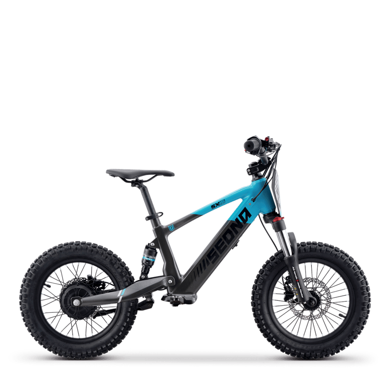 SX 16" (24V350W-2025)