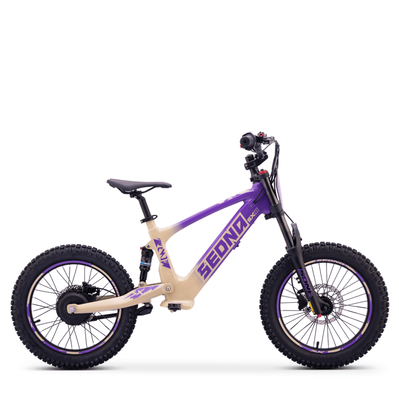SX 18" (36V500W-2026)