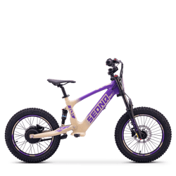 SX 18" (36V500W-2026)