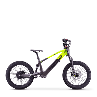 draisienne-electrique-sedna-sx-20-vert-46196-204573