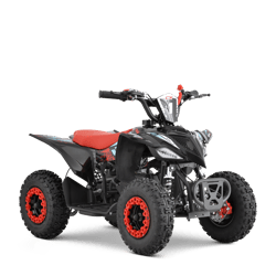 CX 49CC (2024)