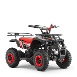TIGER 49CC (à partir de 08/2024)