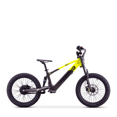 draisienne-electrique-sedna-sx-20-jaune-46198-204587