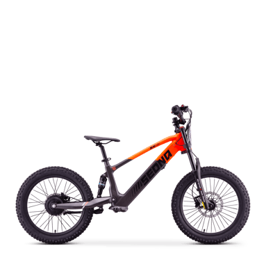 draisienne-electrique-sedna-sx-20-orange-46195-204566