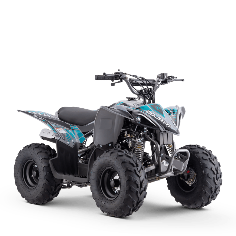 PREDATOR 110CC