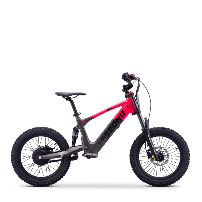 SX 18" (36V500W)