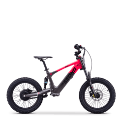 SX 18" (36V500W)