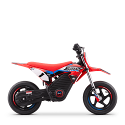 R-300 SM