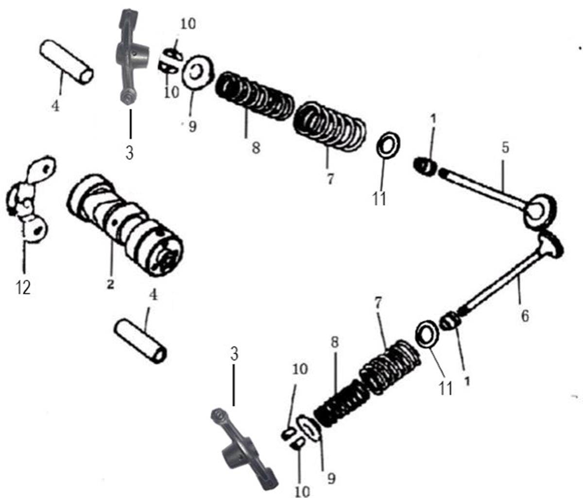 DISTRIBUTION
