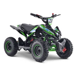 VIPER 49CC (2018-2024)