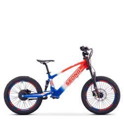 SX 20" (36V750W-2026) 