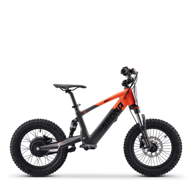 draisienne-electrique-sedna-sx-16-orange-49058-205515