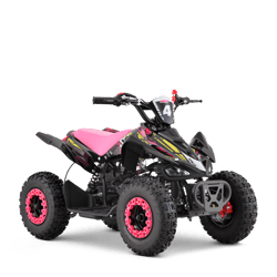 VX 49CC (2024)