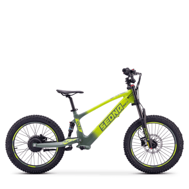 draisienne-electrique-sedna-sx-20-vert-54648-216823