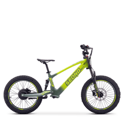 draisienne-electrique-sedna-sx-20-vert-54648-216823
