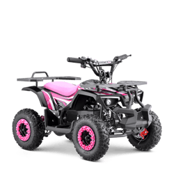 TIGER 800W (2024)