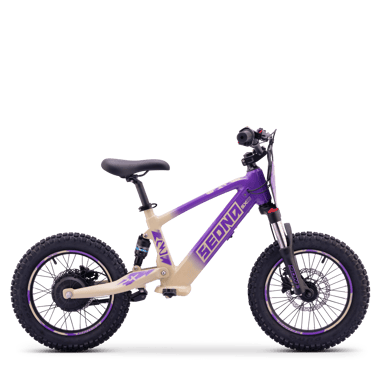 draisienne-electrique-sedna-sx-16-violet-54635-216639