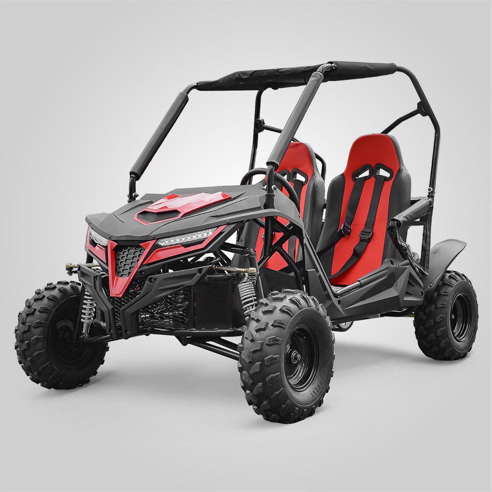 Buggy svr XL 2 places 210cc rouge Smallmx Dirt bike, Pit bike