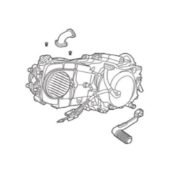 MOTEUR  CRX HRX HRX XL125CC