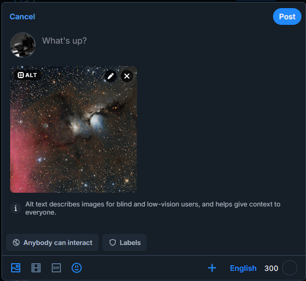 Use alt texts to add descriptions to your images.