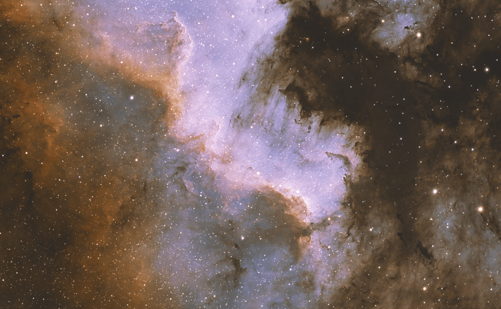 Cygnus Wall