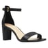 Pruce Ankle Strap Block Heel Sandals - Black