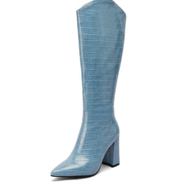 Pointed Toe Knee-high Boot