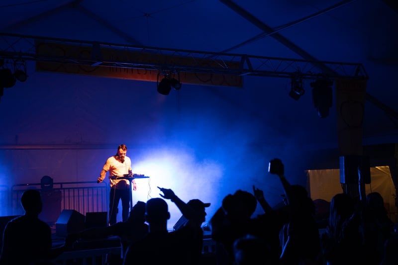 A performer on stage at Harvest Party 2024.