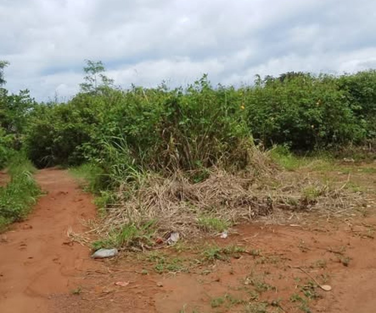 Terrain à vendre - Tropicana, Yaoundé