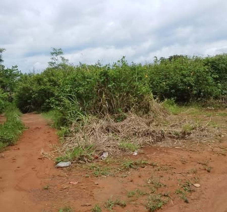 Terrain à vendre - Tropicana, Yaoundé