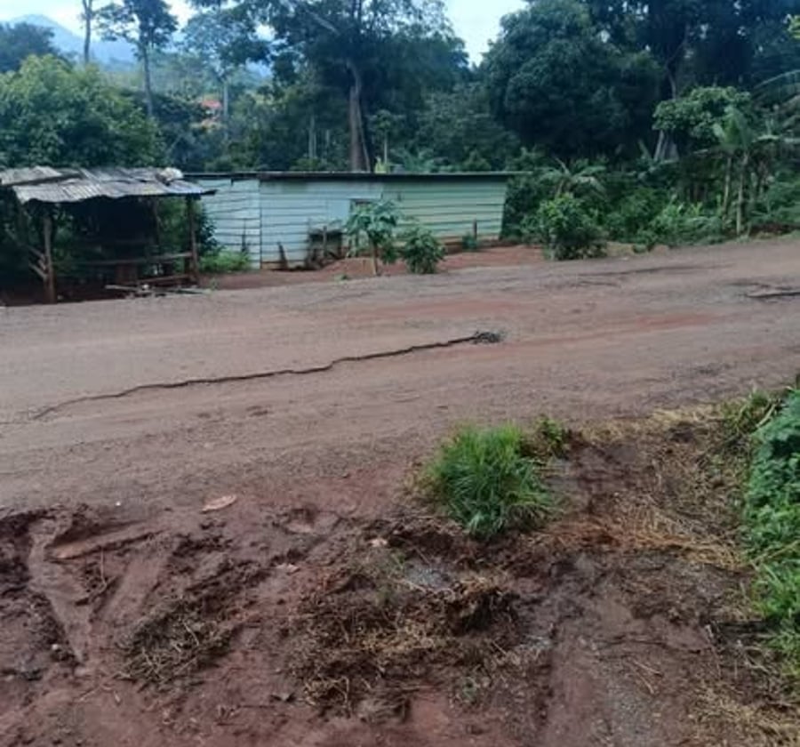 Terrain d'habitation à vendre à Obili, Yaoundé - 439 m²