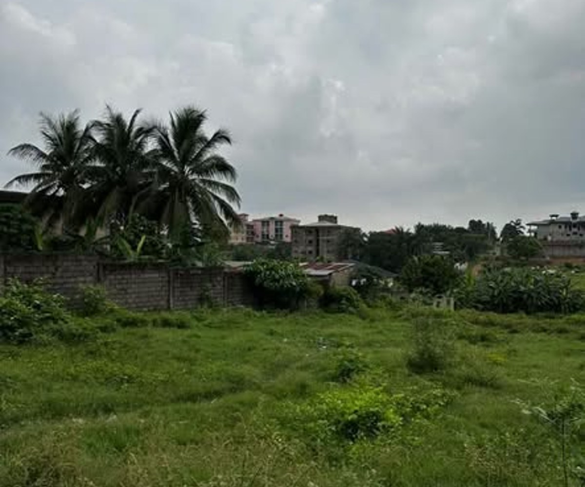 Terrain titré à vendre à Douala Yassa - 2000 m²