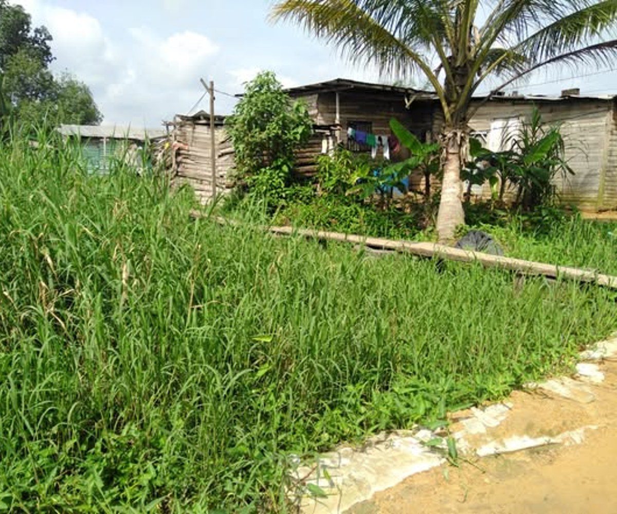 Terrain à vendre à Bonaberi, Douala