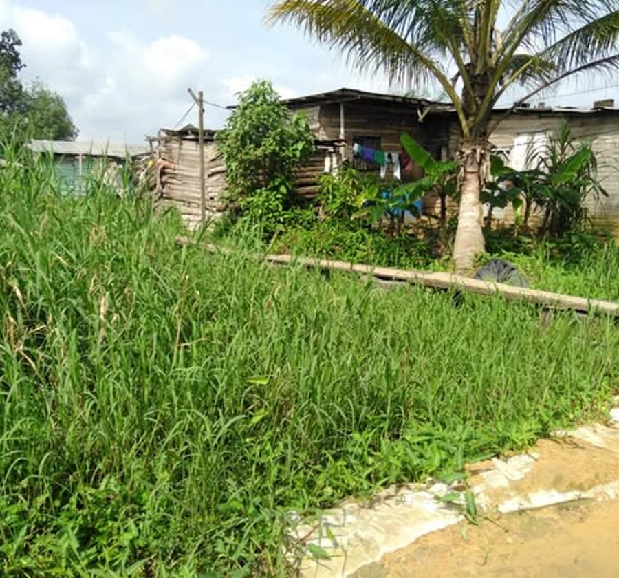 Terrain à vendre à Bonaberi, Douala