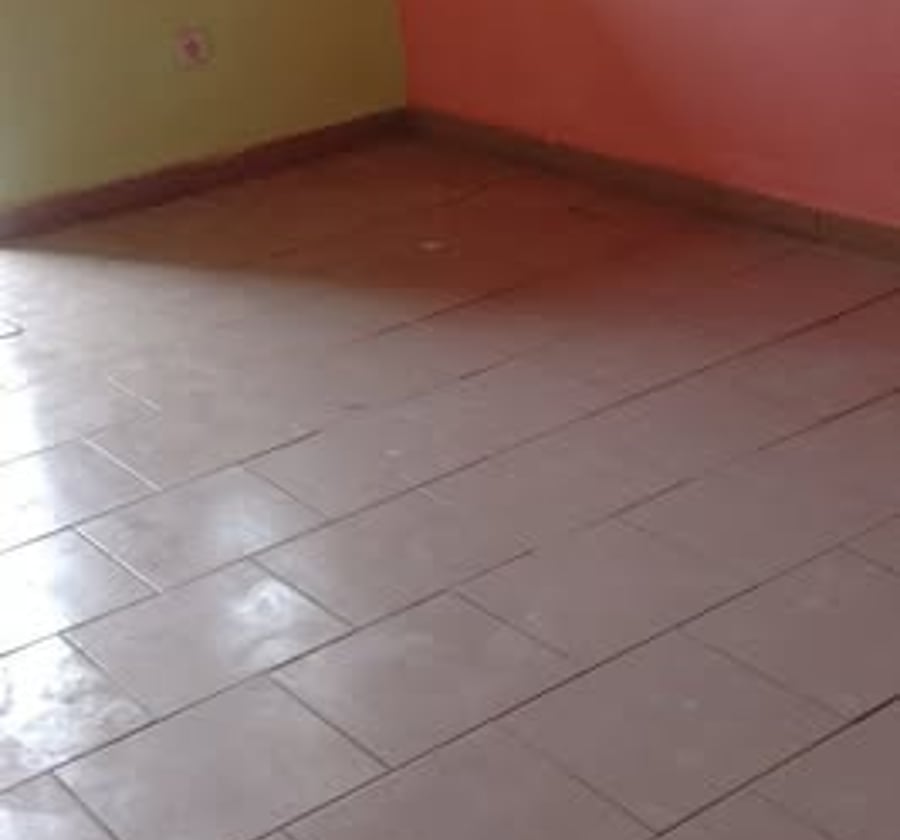 Studio moderne à louer - Ndogbassi 1, Douala